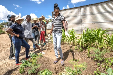 food circle Windhoek