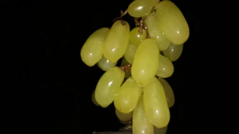 A close view of a bunch of green grapes.