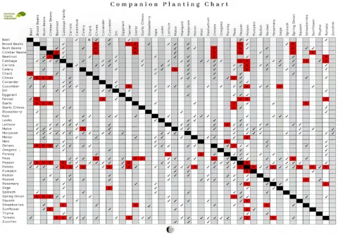 Companion planting chart