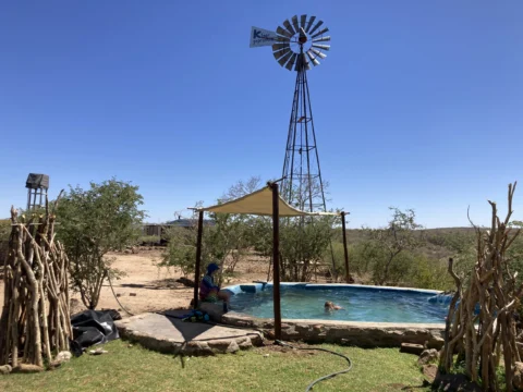 Natural Swimming Pool