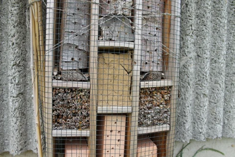 Insect hotel with several kinds of nesting material behind mesh.