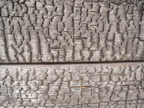 Close view of a charred timber surface with a cracked blackened texture.