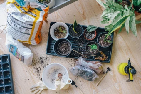 propagation
