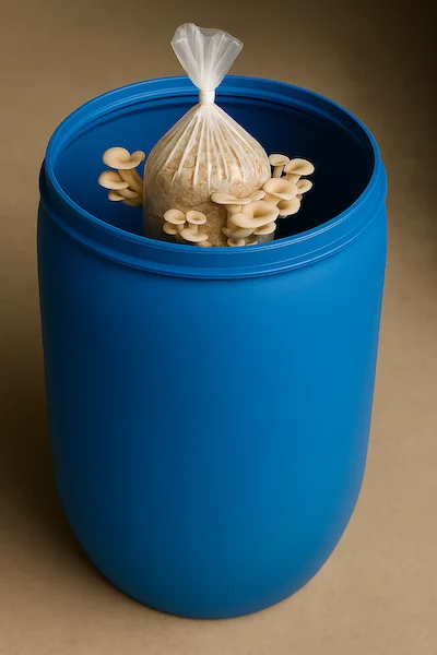 Mushroom drum