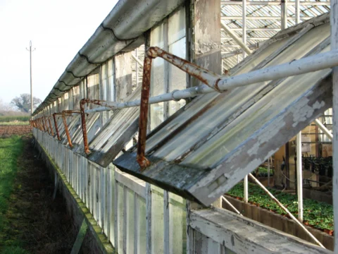 Open ventilation windows in a greenhouse.