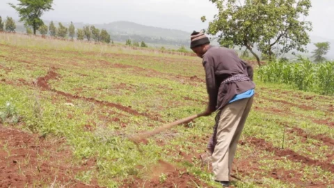 Contour Farming