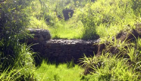 Gabions