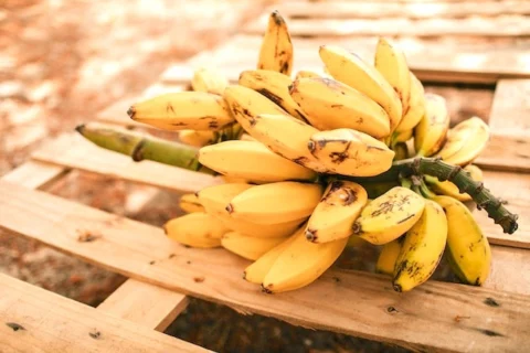banana