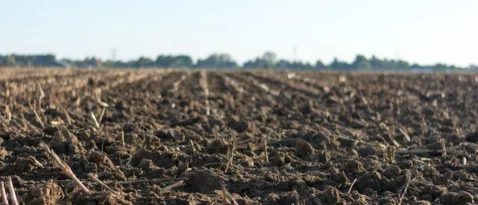 soil