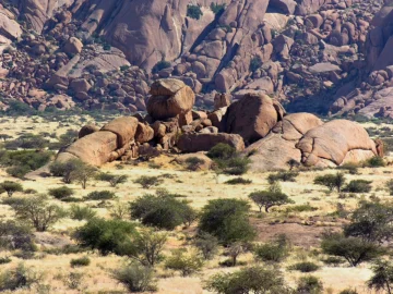 Scattered trees and shrubs among granite rocks at Spitzkoppe