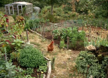 Permaculture