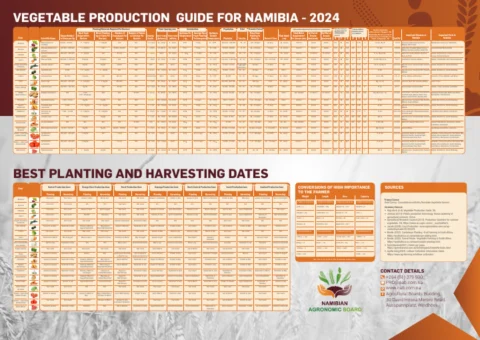 Cover preview of Vegetable Production Guide for Namibia, 2024