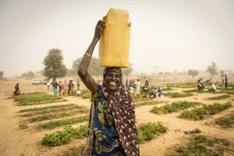 A gardener carrying water through cultivated beds.