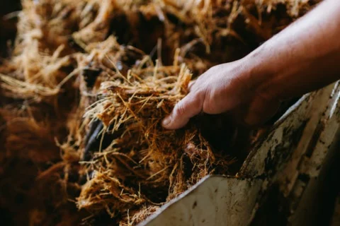 Biomass